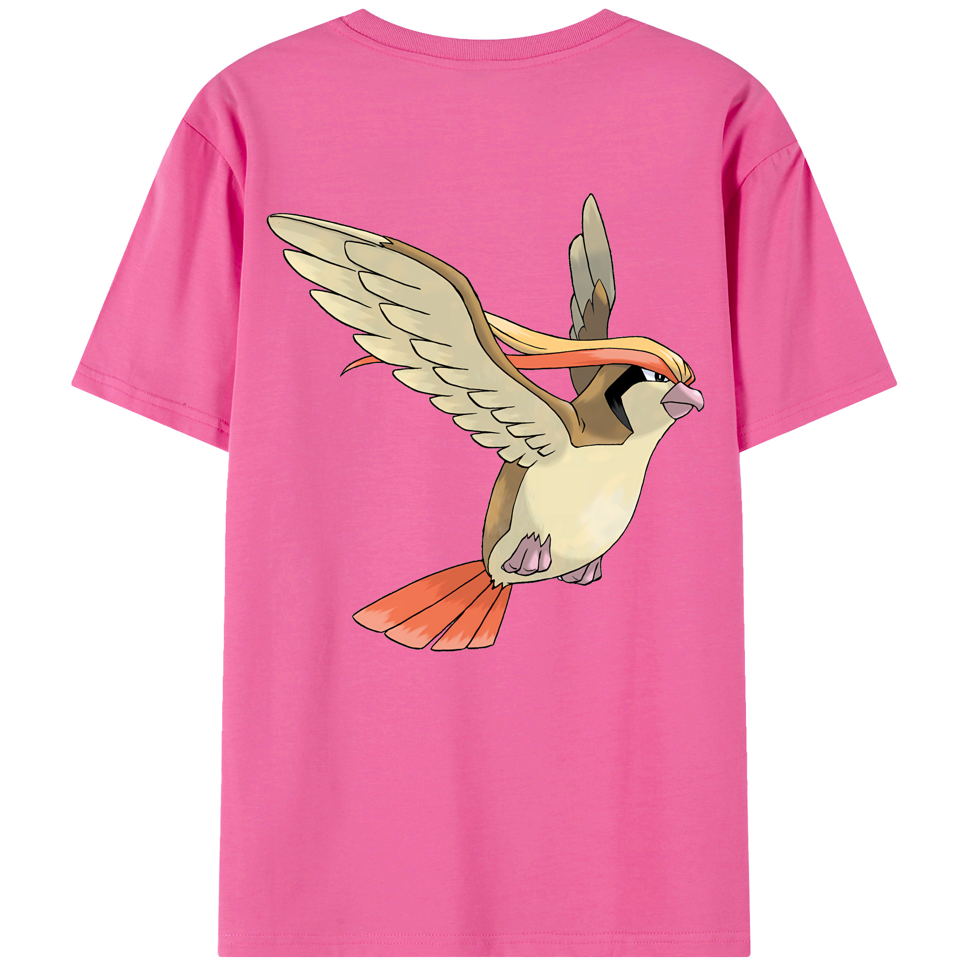（画像用） ポケットモンスター Pokémon レディース半袖Tシャツ(バックプリント)